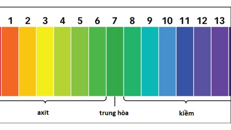 Cách đo độ pH