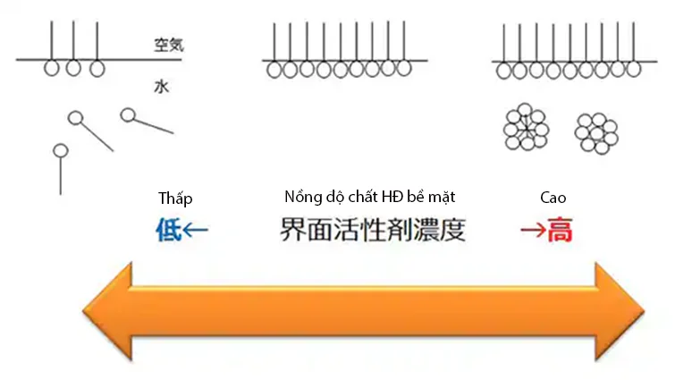 pid621387 hinh 1 su hinh thanh micelle