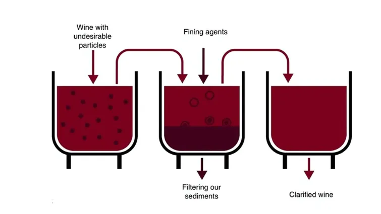 Quy trình lọc rượu vang
