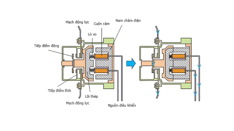 Cấu tạo bên trong Công tắc tơ AC