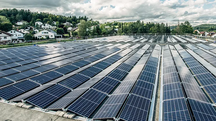 Hình 1. Mô-đun PV (Photovoltaic) đôi khi còn gọi là tấm pin mặt trời