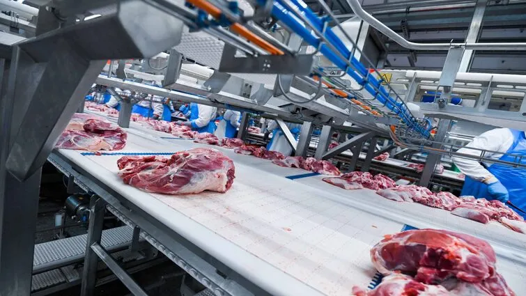 Hình 1. Kiểm tra chất lượng thịt bằng công nghệ thị giác máy