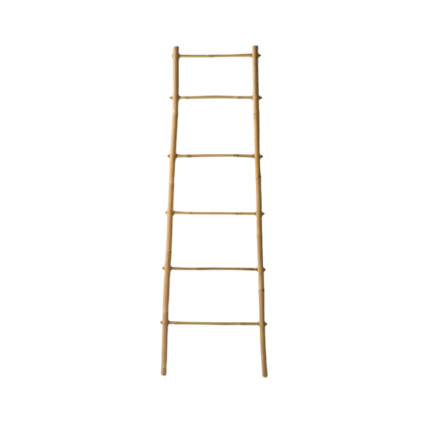 bl013049 thang tre kt3m