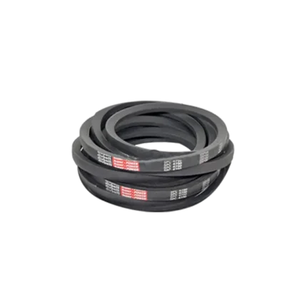 bl036434 day curoa b77 divbelt