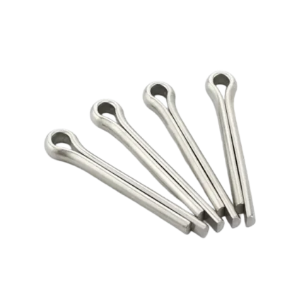 bl037493 chot che sus304 d5x50mm