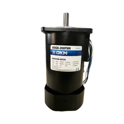 bl038070 dong co giam toc 9idgk 200fwh 3 pha 200w 280v dkm
