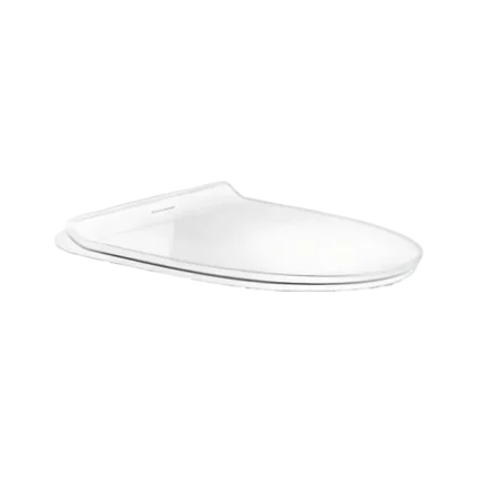 bl037274 nap day bon cau wp c119s lap cho bon cau wp 1880vf 1808et american standard