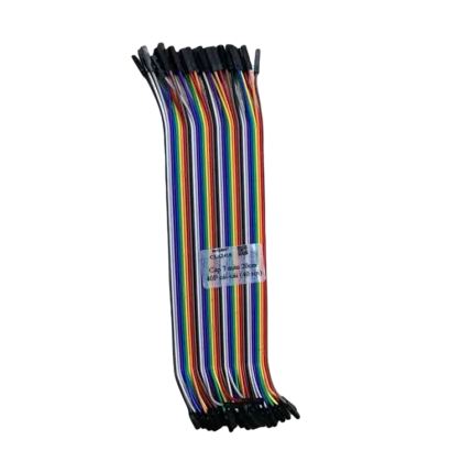 Cáp, CLA2418 7 màu 40P hai đầu cái L20cm (40 sợi/ tệp)