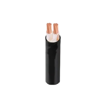 bl037945 cap dien 2 loi cxv 2x4mm 061kv dai thanh