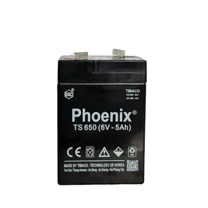 bl029298 ac quy ts650 6v 5ah phoenix